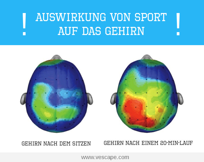 Auswirkungen von Sport auf das Gehirn 