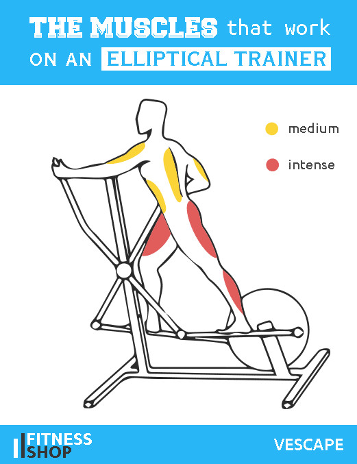 Elliptical trainer clearance workout for beginners