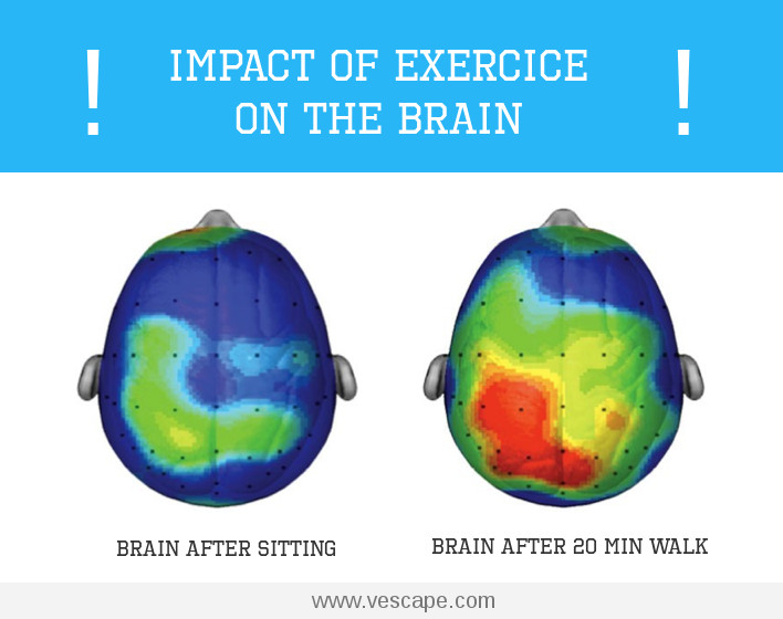 Efectos del ejercicio en el cerebro