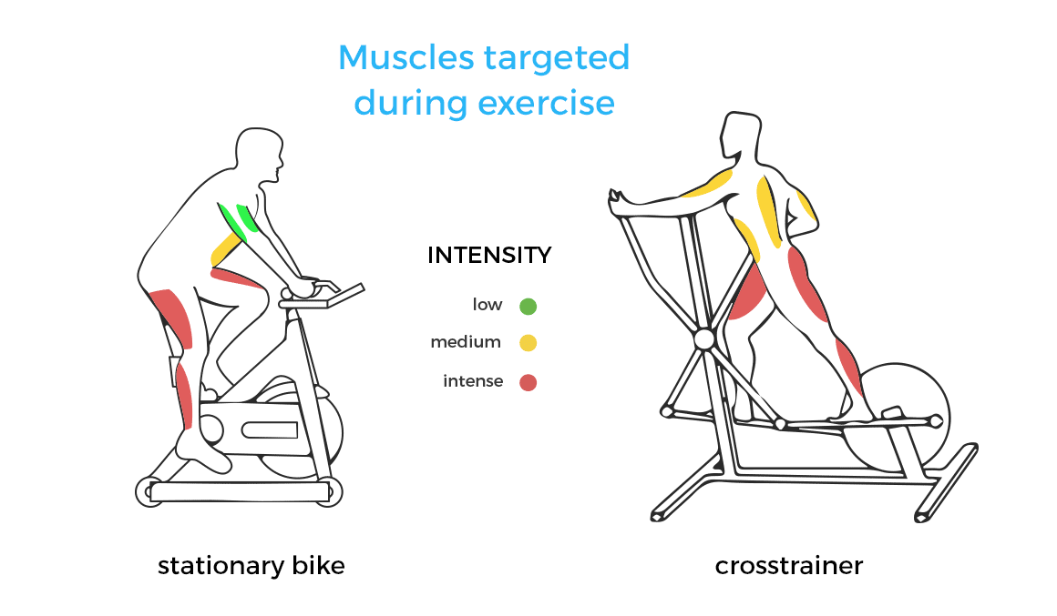 Los músculos que trabaja una bicicleta elíptica