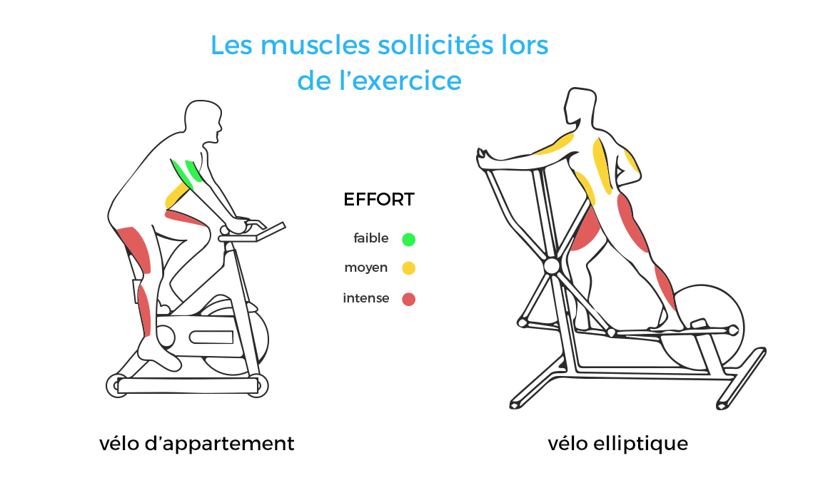 Velo d'appartement et elliptique : quels muscles sollicites